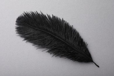 One black fluffy feather on grey background, top view