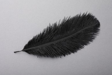 One black fluffy feather on grey background, top view