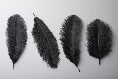 Photo of Black fluffy feathers on grey background, flat lay