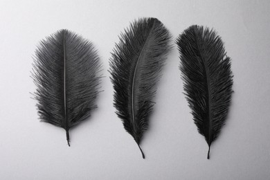 Photo of Black fluffy feathers on grey background, flat lay