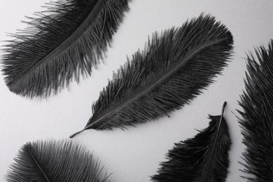 Photo of Black fluffy feathers on grey background, flat lay