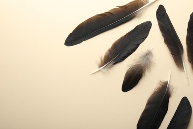 Beautiful feathers on beige background, flat lay. Space for text