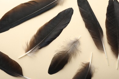 Photo of Beautiful feathers on beige background, flat lay