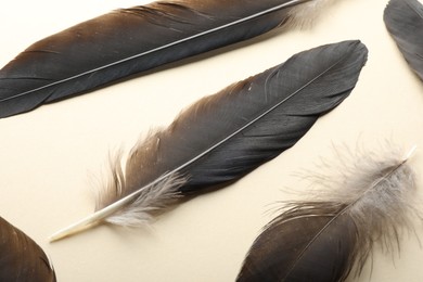 Photo of Beautiful feathers on beige background, above view