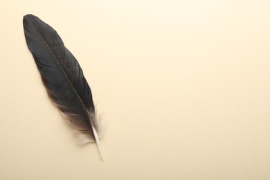 One beautiful feather on beige background, top view. Space for text