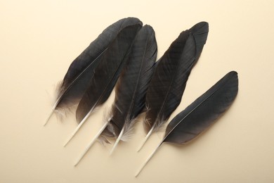 Photo of Beautiful feathers on beige background, flat lay