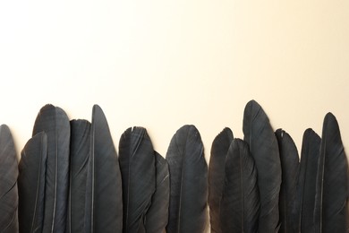 Black feathers on beige background, flat lay. Space for text