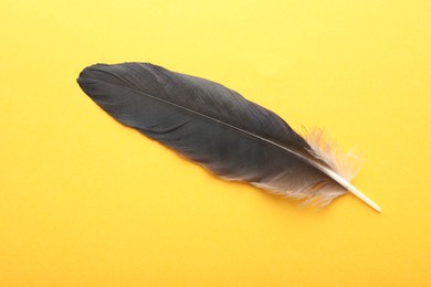 Photo of One black feather on yellow background, top view