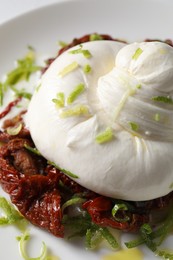 Delicious burrata cheese and sun-dried tomatoes on plate, closeup