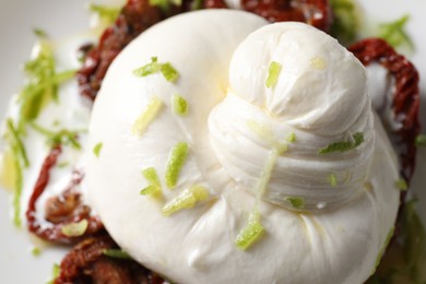 Delicious burrata cheese and sun-dried tomatoes on plate, closeup