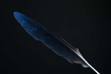 Photo of One beautiful feather on black background, closeup