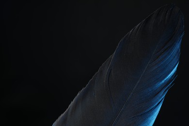 One beautiful feather in color light on black background, closeup. Space for text