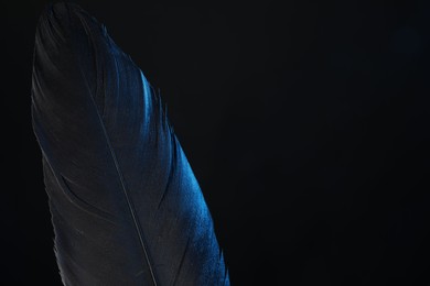 Photo of One beautiful feather in color light on black background, closeup. Space for text