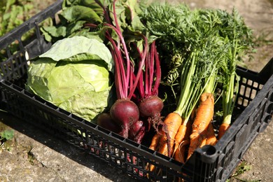 Photo of Different freshly harvested vegetables in crate outdoors, closeup