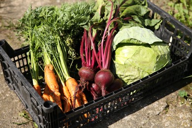 Photo of Different freshly harvested vegetables in crate outdoors, closeup