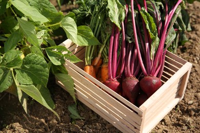 Photo of Freshly harvested vegetables in wooden crate outdoors