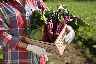 Photo of Woman with freshly harvested vegetables outdoors, closeup