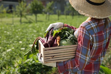 Photo of Woman with freshly harvested vegetables outdoors, space for text