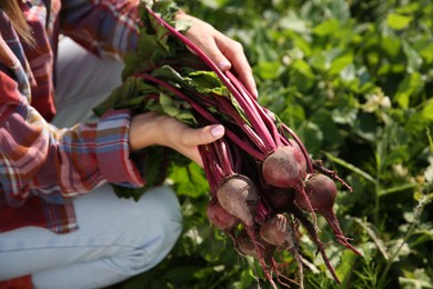 Photo of Woman with freshly harvested beetroots outdoors, closeup