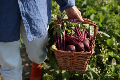 Woman with freshly harvested beetroots outdoors, closeup