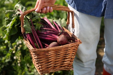 Woman with freshly harvested beetroots outdoors, closeup