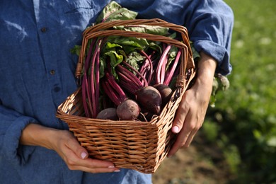 Photo of Woman with freshly harvested beetroots outdoors, closeup