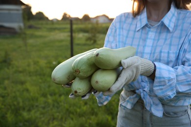 Photo of Woman with freshly harvested zucchinis outdoors, closeup