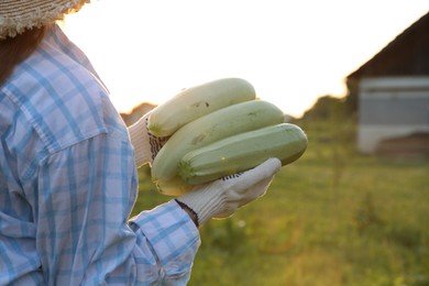 Photo of Woman with freshly harvested zucchinis outdoors, closeup. Space for text