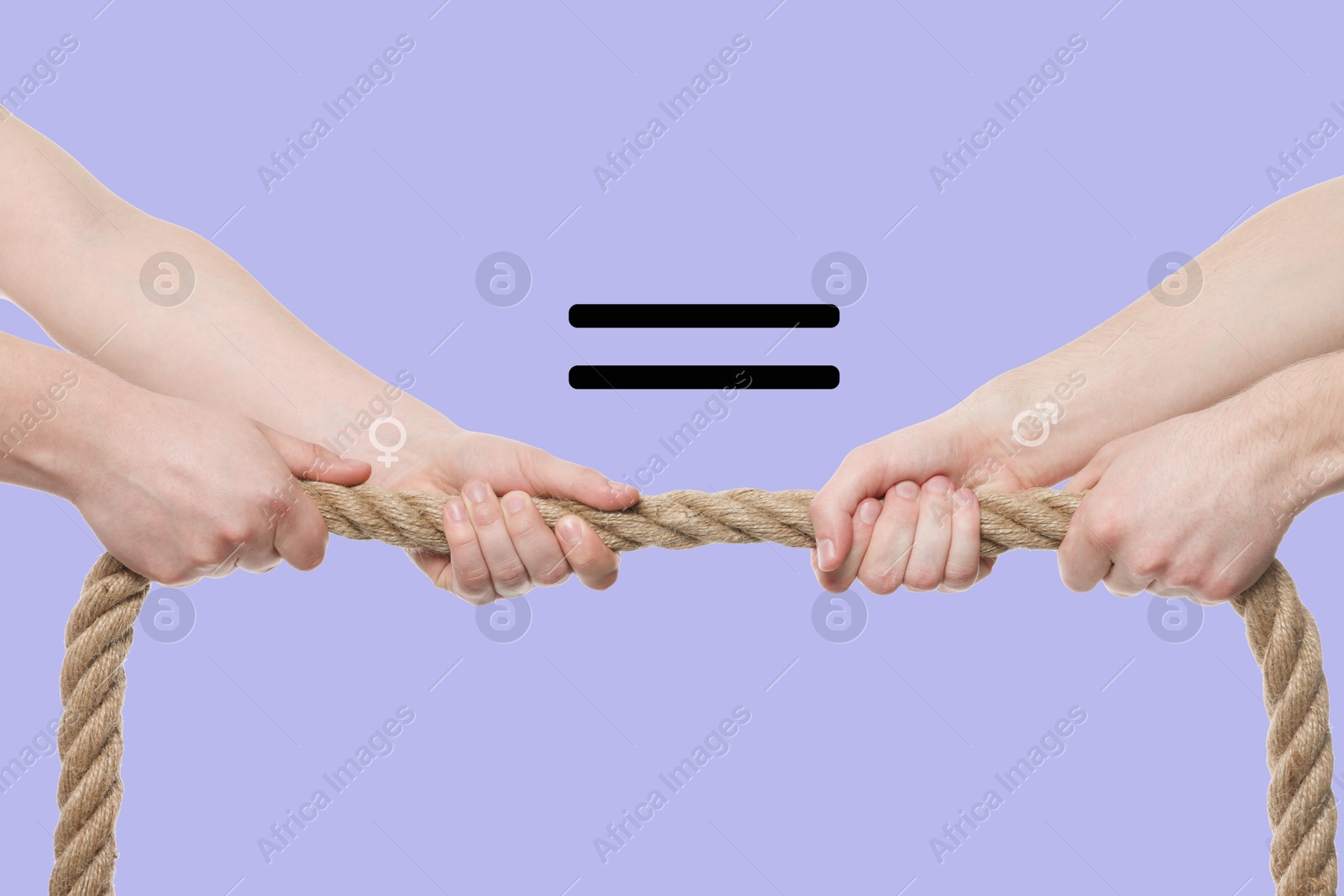 Image of Gender equality concept. Man and woman pulling rope, equals sign between them on lavender background