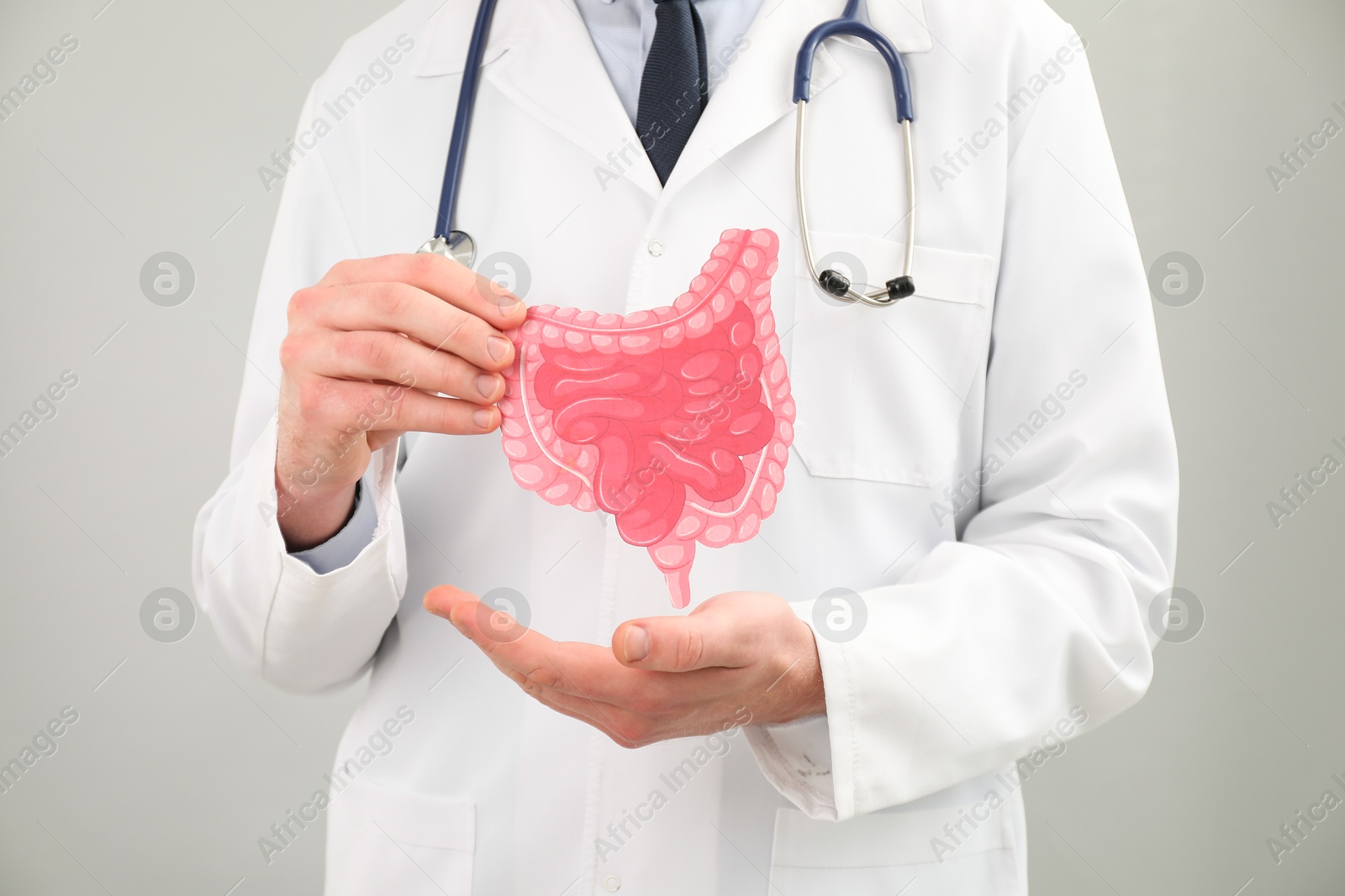 Photo of Doctor showing paper intestine cutout on grey background, closeup