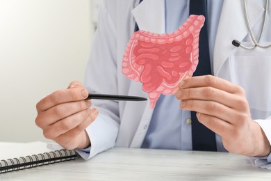 Photo of Doctor showing paper intestine cutout at white wooden table indoors, closeup