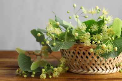 Fresh linden leaves and flowers on wooden table