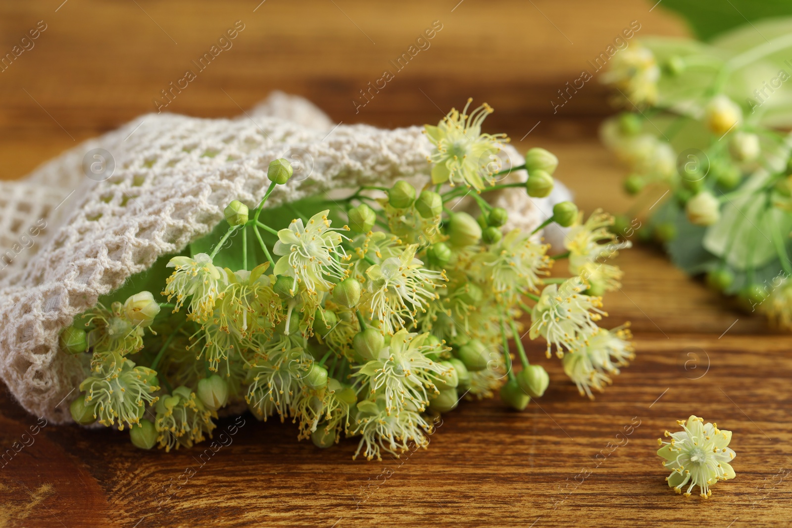 Photo of Fresh linden leaves and flowers on wooden table, closeup