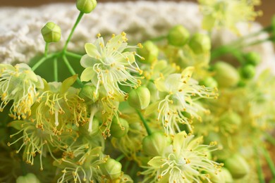 Fresh linden leaves and flowers on table, closeup