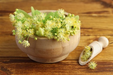 Fresh linden leaves and flowers on wooden table