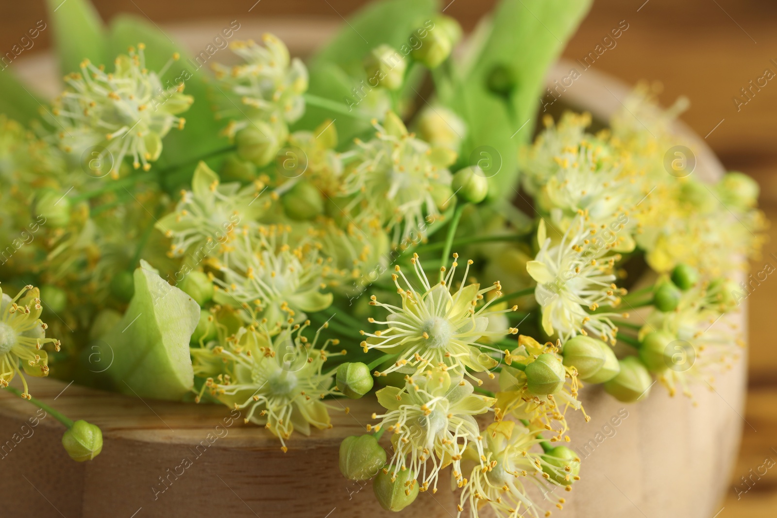 Photo of Fresh linden leaves and flowers on wooden table, closeup