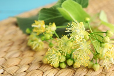 Fresh linden leaves and flowers on wicker mat, closeup