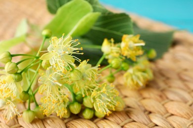 Fresh linden leaves and flowers on wicker mat, closeup