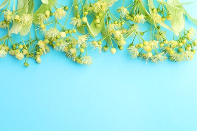 Photo of Fresh linden leaves and flowers on light blue background, top view. Space for text