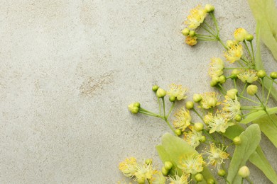 Photo of Fresh linden leaves and flowers on light grey table, top view. Space for text