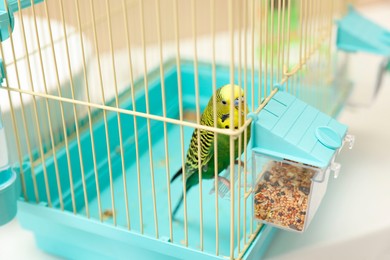 Photo of Pet parrot. Beautiful budgerigar in cage indoors