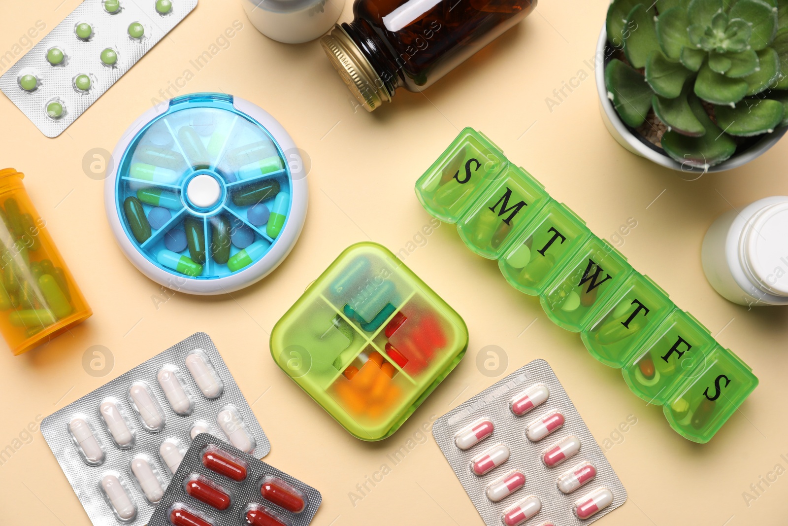 Photo of Different pills, organizers, medical jars and succulent on beige background, flat lay