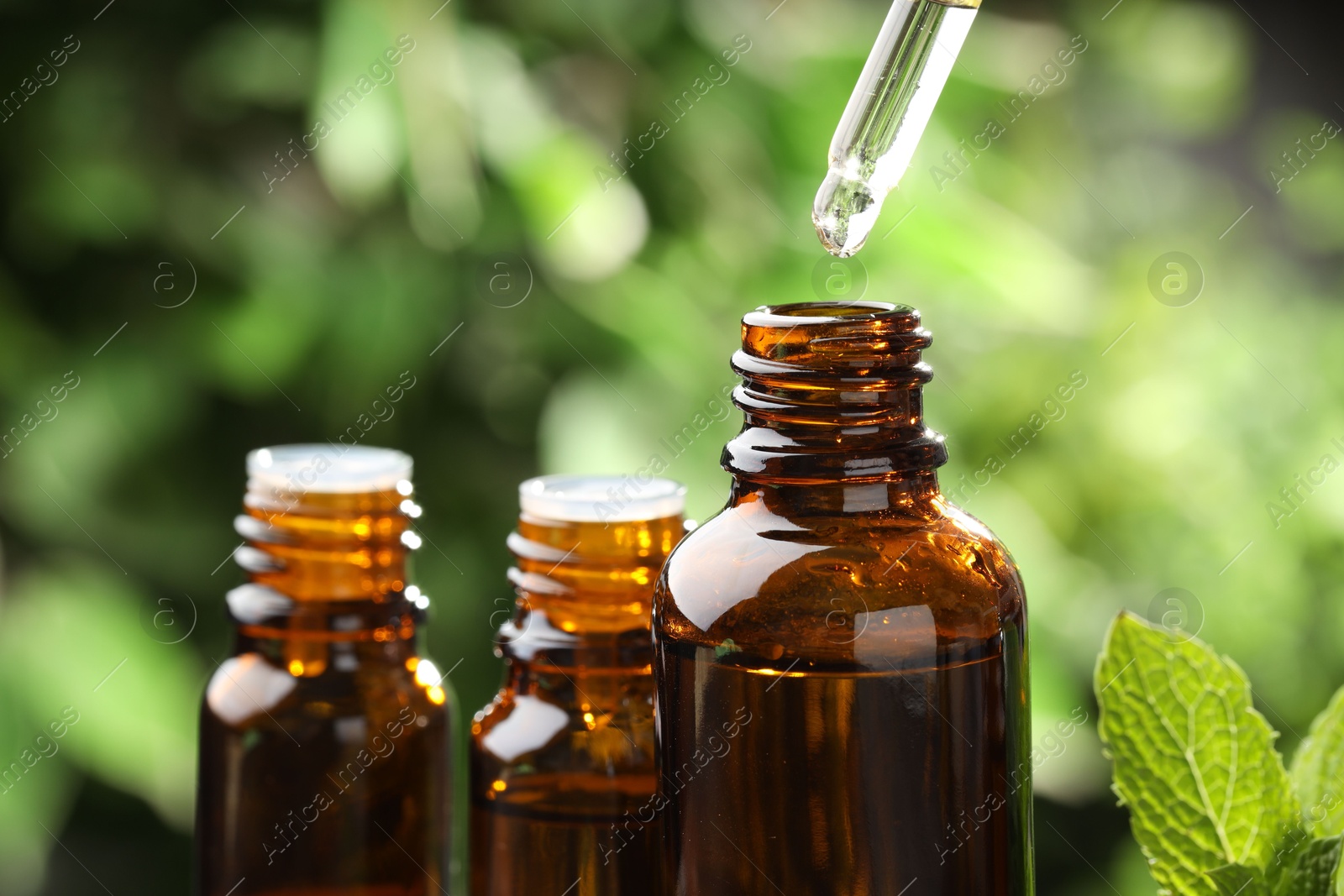 Photo of Essential oil dripping from pipette into bottle against blurred green background, closeup