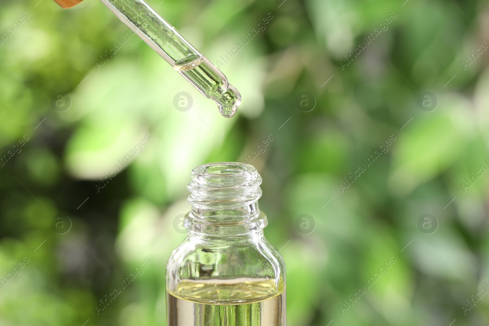 Photo of Essential oil dripping from pipette into bottle against blurred green background, closeup