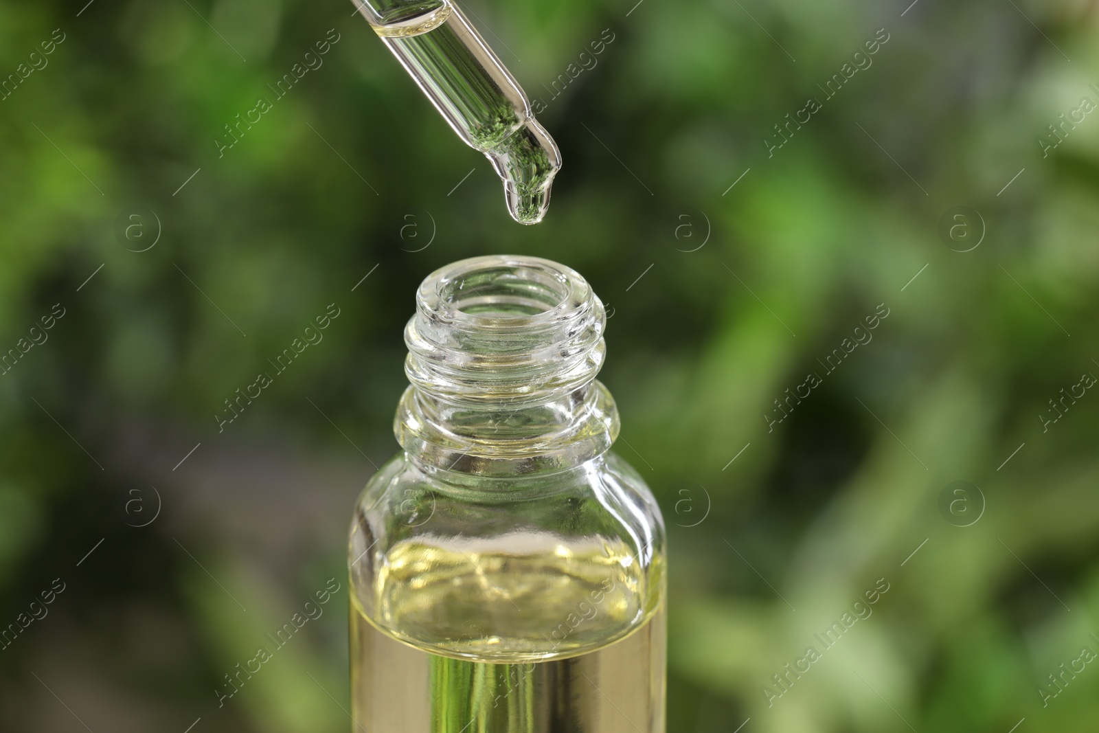 Photo of Essential oil dripping from pipette into bottle against blurred green background, closeup