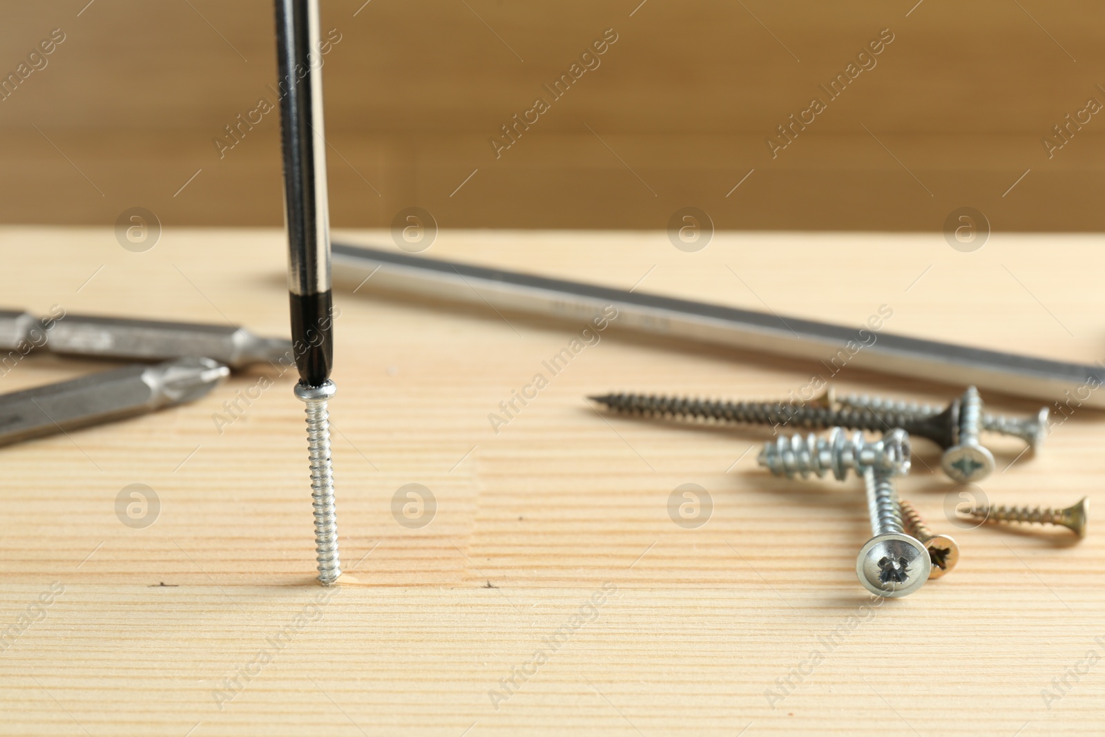 Photo of Screwing screw into wooden plank with bits, closeup