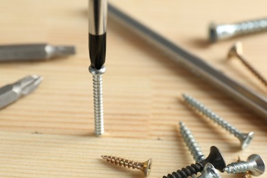 Photo of Screwing screw into wooden plank with bits, closeup