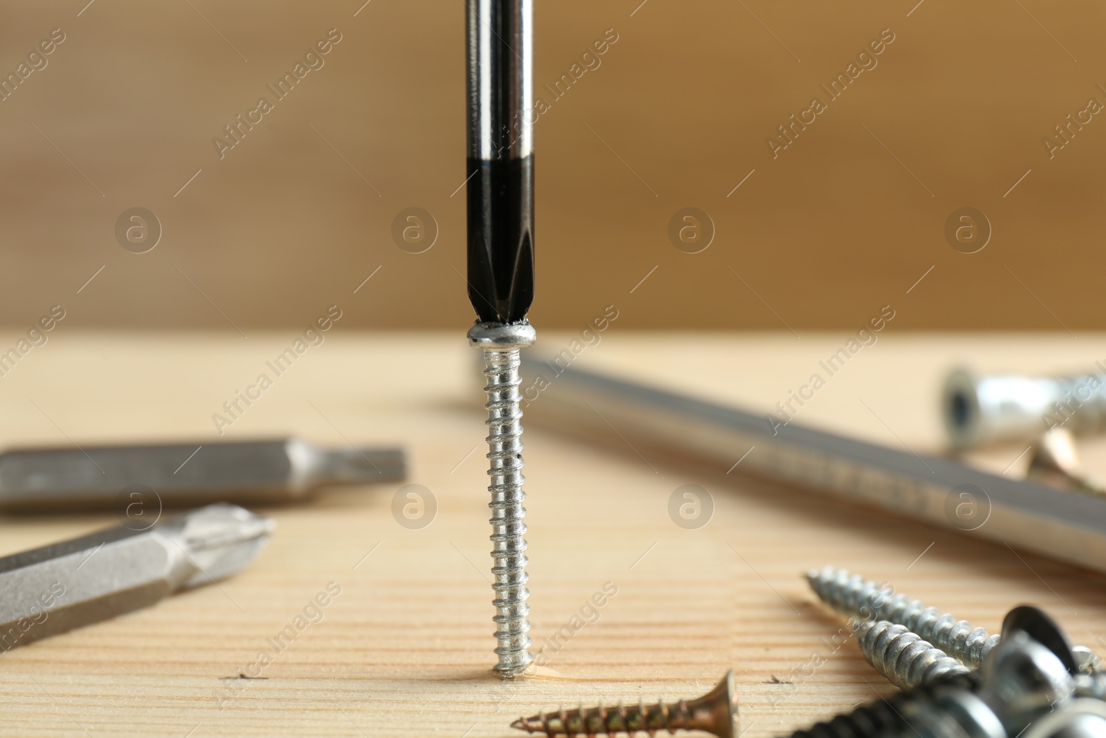 Photo of Screwing screw into wooden plank with bits, closeup