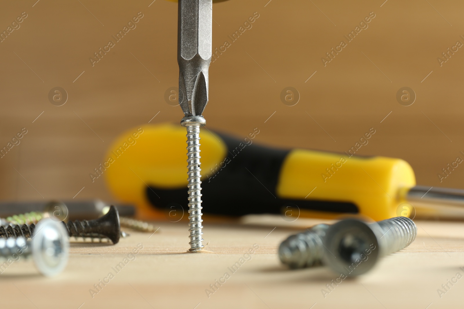 Photo of Screwing screw into wooden plank with tools, closeup