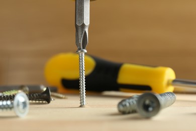 Screwing screw into wooden plank with tools, closeup